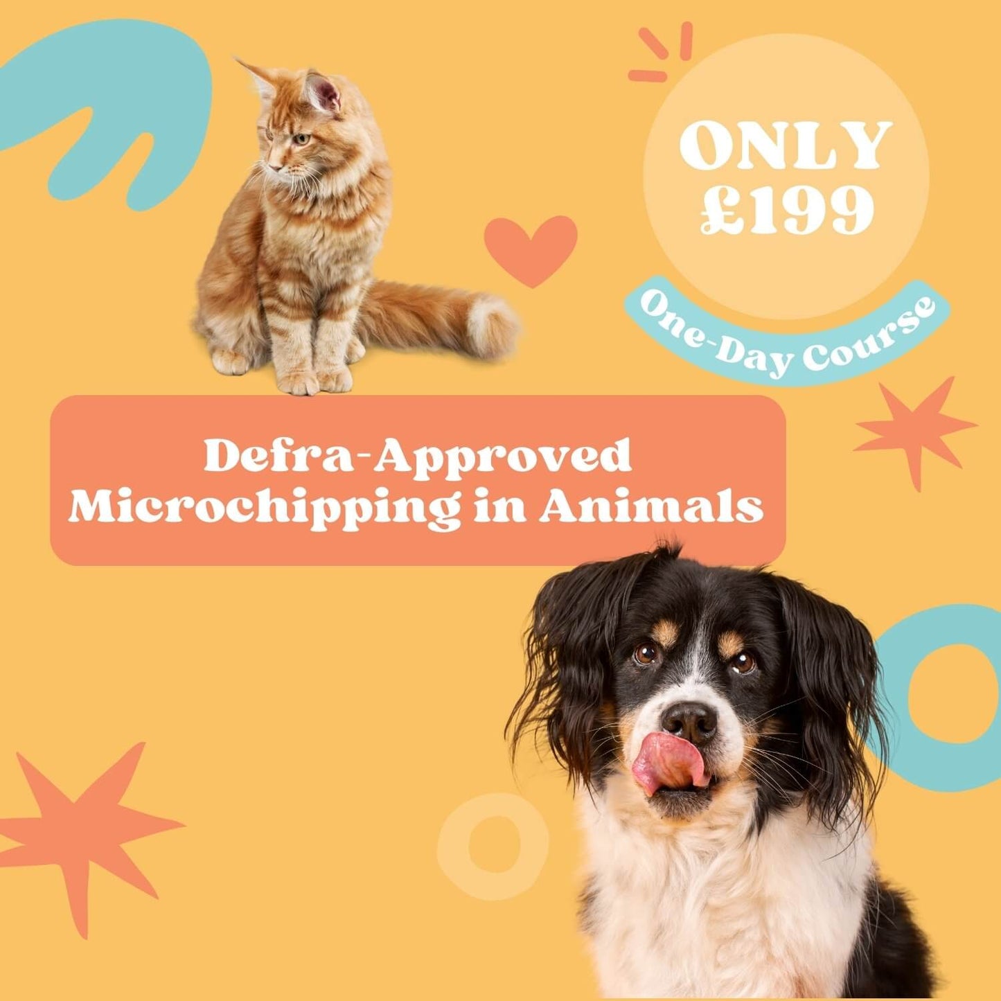 Animal Microchipping Course